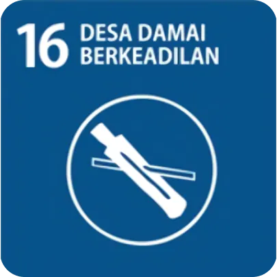 SDG 16